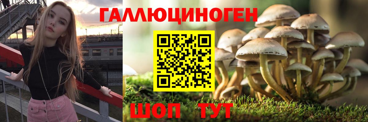 Псилоцибиновые грибы ЛСД  Вход с VPN  Кувандык 